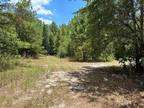 Zavalla, Angelina County, TX Undeveloped Land for sale Property ID: 417349430