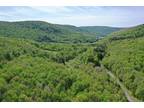 Tomkins Cove, Delaware County, NY Recreational Property, Timberland Property