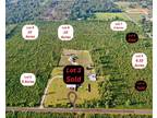 Wewahitchka, Gulf County, FL Undeveloped Land for sale Property ID: 415823351