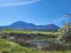 40532 & 40576 M75 Road Paonia, CO