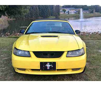 2001 Ford Mustang for sale is a Yellow 2001 Ford Mustang Car for Sale in Haines City FL