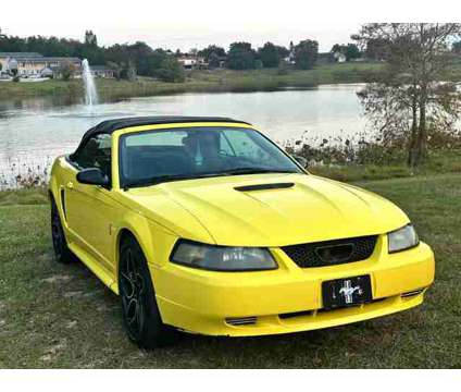 2001 Ford Mustang for sale is a Yellow 2001 Ford Mustang Car for Sale in Haines City FL