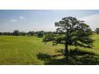 TBD TRACT 2 VZ COUNTY ROAD 1905, Fruitvale, TX 75127 Land For Sale MLS# 81246774