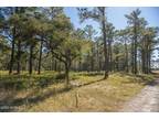 117 RED BOAT ROAD, Atlantic, NC 28511 Land For Sale MLS# 100413428