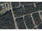 Citrus Springs, Citrus County, FL Undeveloped Land, Homesites for sale Property