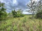 Detroit, Red River County, TX Undeveloped Land for sale Property ID: 418246409