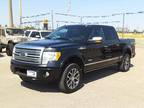 2012 Ford F-150 Platinum