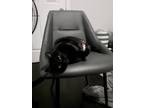 Adopt Minion a All Black Domestic Shorthair / Domestic Shorthair / Mixed cat in