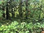 Rhododendron, Clackamas County, OR Undeveloped Land, Homesites for sale Property