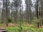 New Breman, Lewis County, NY Recreational Property, Hunting Property for sale