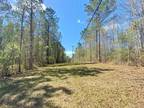 Summit, Pike County, MS Undeveloped Land for sale Property ID: 418220917