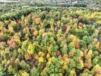 Bellevue, Barry County, MI Recreational Property, Timberland Property for sale