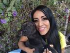 Adopt Jaguarr a Labrador Retriever / Mixed dog in Carlsbad, CA (33030580)