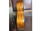 Cordoba C5 CD Full Size Mahogany Solid Cedar Top Classical Nylon Acoustic Guitar