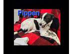 pippen Young Female