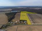 31 ACRES CLENDANIEL POND, LINCOLN, DE 19960 Land For Sale MLS# DESU2051060