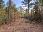 Lumberton, Pearl River County, MS Recreational Property, Undeveloped Land