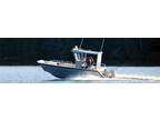 2024 Stanley 26 Pulsecraft Closed Cabin Boat for Sale