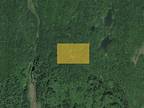 Skwentna, Matanuska-Susitna Borough, AK Undeveloped Land for sale Property ID: