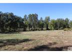College Hill, Bowie County, TX Undeveloped Land for sale Property ID: 418023395