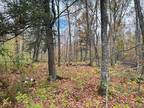 Winter, Sawyer County, WI Farms and Ranches, Hunting Property for sale Property