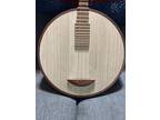 Yueqin (Chinese moon lute)