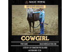 Cowgirl~Just in Time for Christmas! Cute, Safe, Fun Babysitter Pony Mare