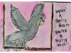 ACEO Original Watercolor Modern Art Painting Grey Parrot Bird Affordable Decor