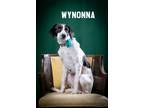 Wynonna Mixed Breed (Large) Young Female