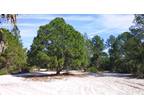 Naples, Collier County, FL Recreational Property, Undeveloped Land