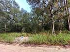 A Haven for Nature Lovers Land for Sale in Ocala FL