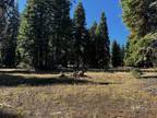 Alturas, Modoc County, CA Undeveloped Land, Homesites for rent Property ID: