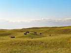 Ashby, Grant County, NE Farms and Ranches for sale Property ID: 417694383
