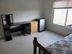 $800 room for rent