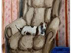 Oil Painting Dog in Chair Window Light Animals Art A. Joli