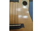 I'iwi Tenor Ukulele