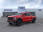 New 2023 FORD F-150 For Sale