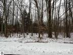 Cadillac, Wexford County, MI Undeveloped Land, Lakefront Property