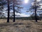Davenport, Lincoln County, WA Undeveloped Land for sale Property ID: 417094973
