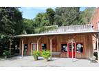 Micanopy, Alachua County, FL Commercial Property, House for sale Property ID: