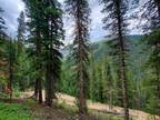 Silverton, San Juan County, CO Undeveloped Land for sale Property ID: 415102367