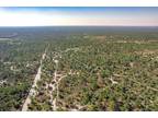 Naples, Collier County, FL Recreational Property, Undeveloped Land