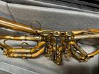 Schagerl Spyder Bb Rotary Trumpet - Mint