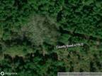 Foreclosure Property: County Road 4196d