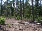 Marshall, Harrison County, TX Timberland Property for sale Property ID: