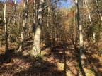 9.24 ACRES HENRY TOWN RD, Sevierville, TN 37876 Land For Sale MLS# 267390