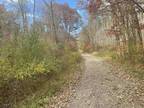 Lot 1 998 Hanlin Road, Bruceton Mills, WV 26525 609335161