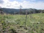 Three Forks, Gallatin County, MT Undeveloped Land for sale Property ID: