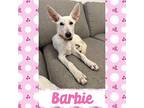 BARBIE German Shepherd Dog Puppy Female