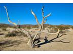 Joshua Tree, San Bernardino County, CA Undeveloped Land, Homesites for sale